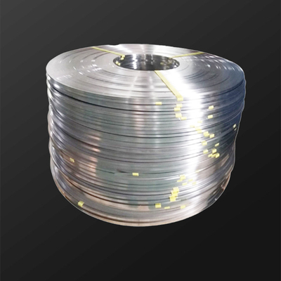 316L Stainless Steel Strip 2mm